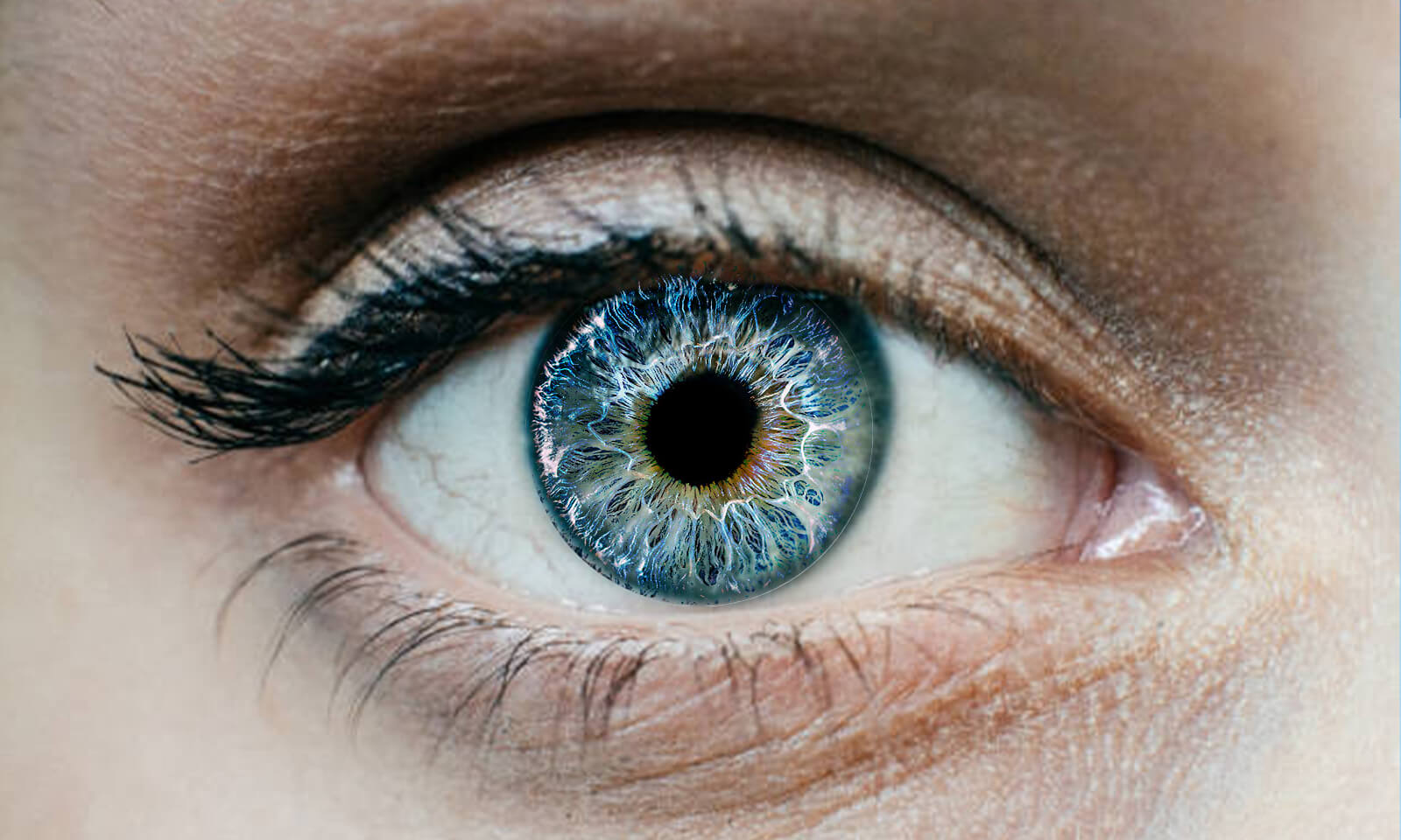 Dead Freeing the Blind: Posthumous Eye Donations Surge in Odisha