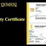 Proposal for Medical Board for Divyang at Jhuli Sub-District Hospital Pending; Disabled Organizations Demand Swift Implementation