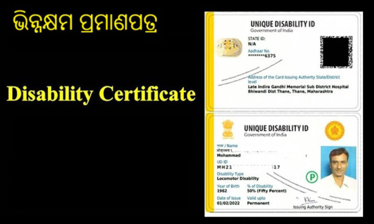 Proposal for Medical Board for Divyang at Jhuli Sub-District Hospital Pending; Disabled Organizations Demand Swift Implementation